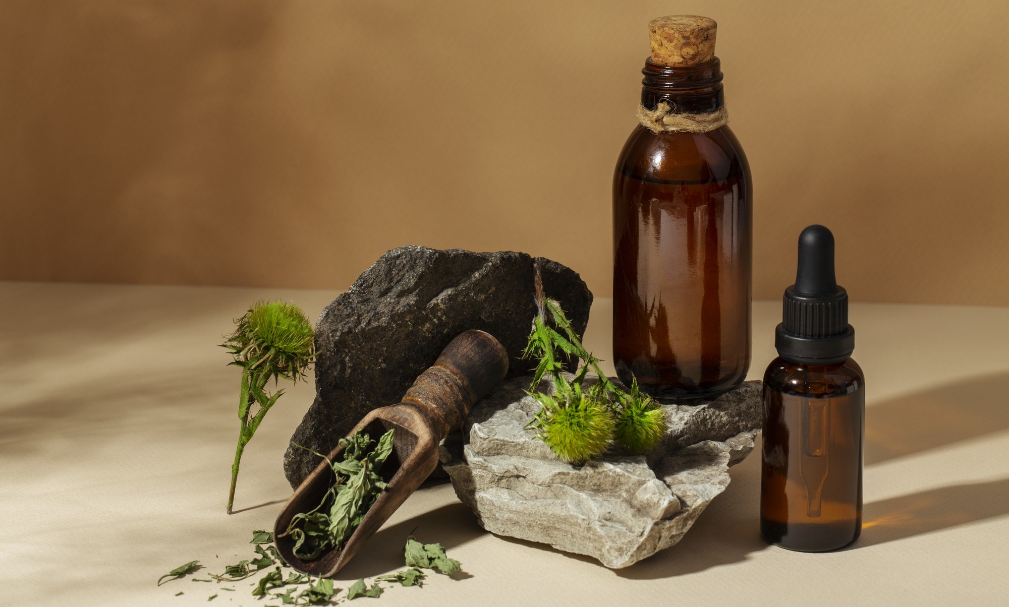 Nature’s Healing with Herbs